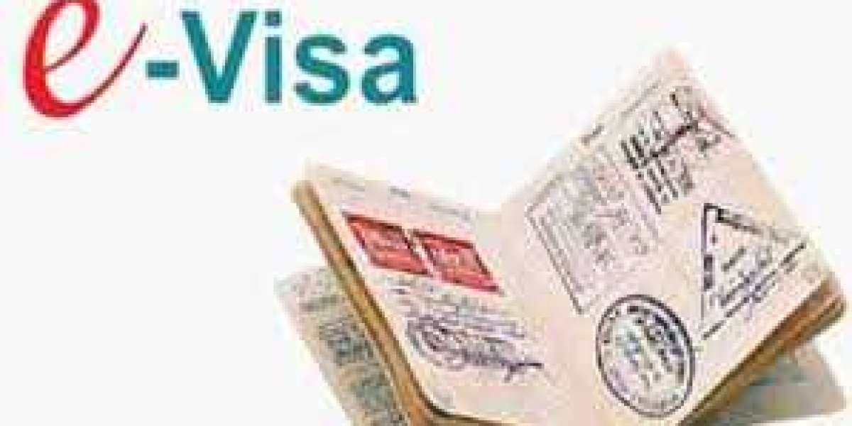 E-Visa Revolution: Shaping the Future of International Travel