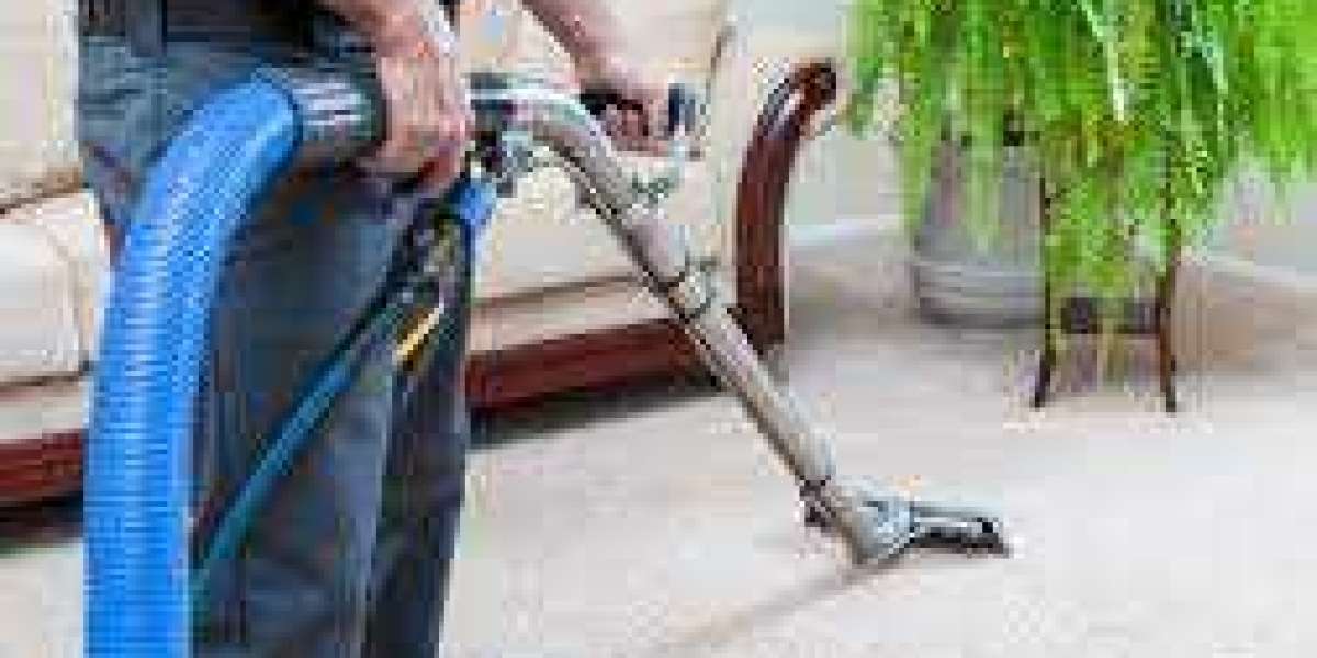 Why Carpet Cleaning Services Are Crucial for Property Managers