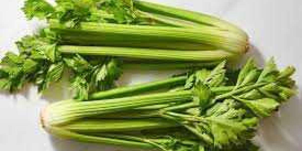 Opening the Amazing Advantages of Celery for Sexual Health