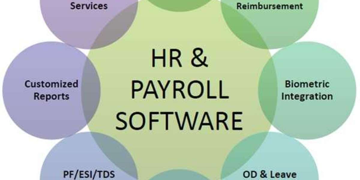 The Future of Payroll: Emerging Technologies in HR Software Solutions