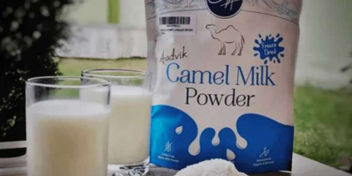 Camel Milk Powder Market Analysis, Research, Review, Applications and Forecast to 2031