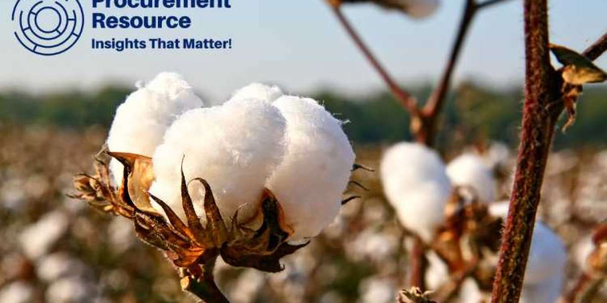 A Deep Dive into the Cotton Production Process