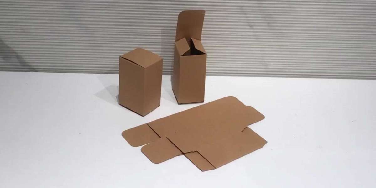 Seal End Auto Bottom Boxes: Versatile Packaging Solutions